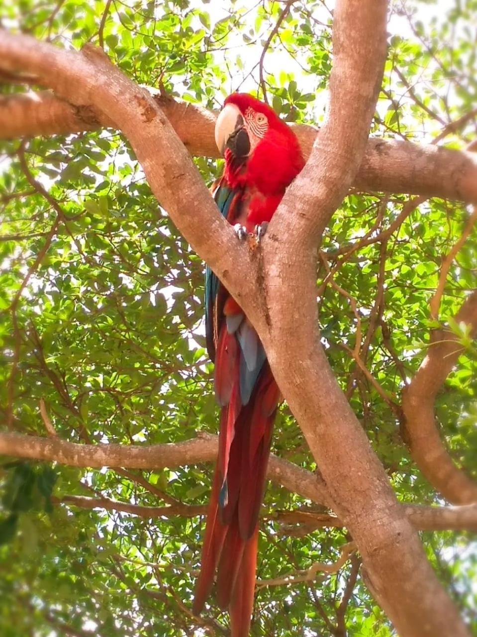 Pousada Rancho das Dunas Santo Amaro do Maranhao Bagian luar foto